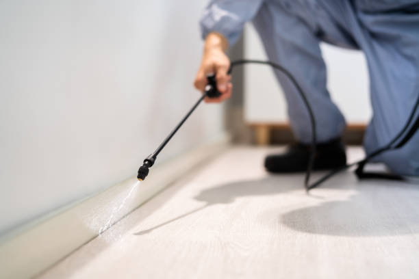 Licensed Pest Control service in Red Lodge, MT - Show Me Pest Control