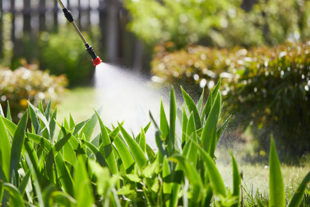 Tamper-Resistant Bait Stations for Rodents in Red Lodge