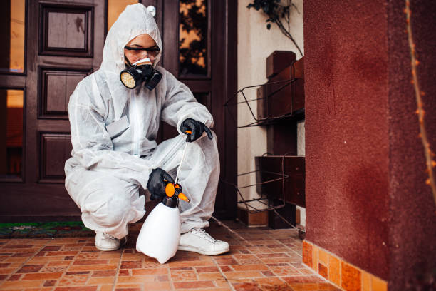 Attic and Crawl Space Rodent Treatment in Red Lodge