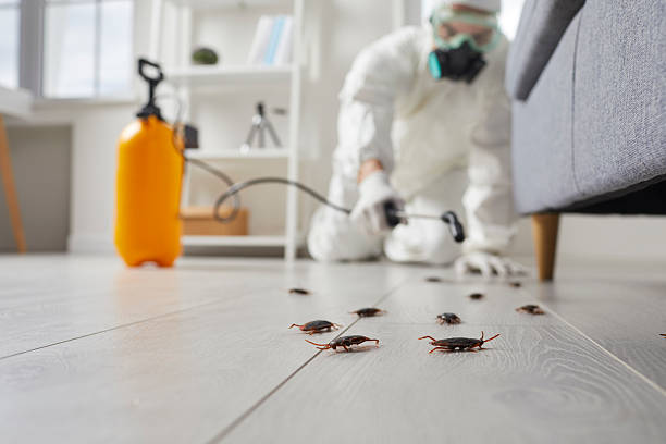 Commercial Rodent Management in Red Lodge
